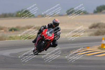 media/Sep-30-2023-SoCal Trackdays (Sat) [[636657bffb]]/Turn 15 (1120am)/